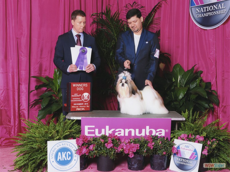 Milo Eukanuba 2015